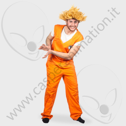 Costume Dragon Ball GOKU