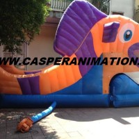 gonfiabile-pesce