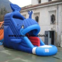 gonfiabilebalena