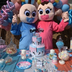 Baby Boy and Baby girl - Bambino e bambina gender reveal baby shower