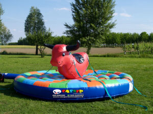 toro gonfiabile casper